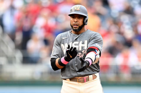 nelson cruz gray 
