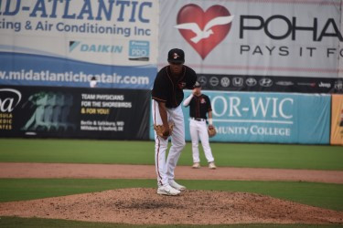 Luis De Leon courtesy of the Delmarva Shorebirds