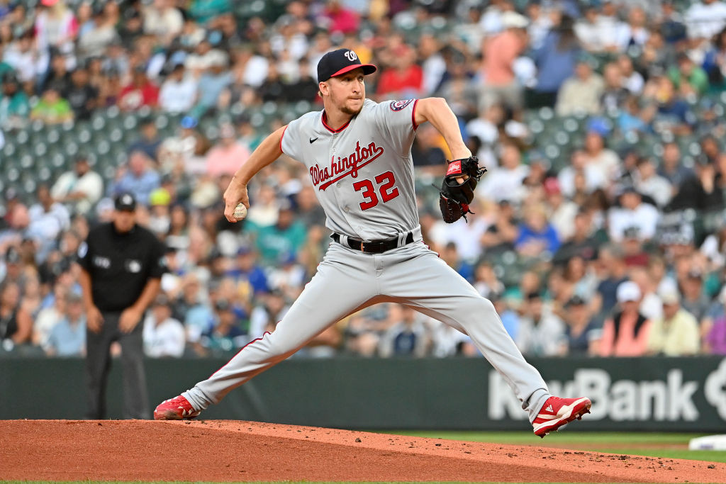 Erick Fedde throws gray