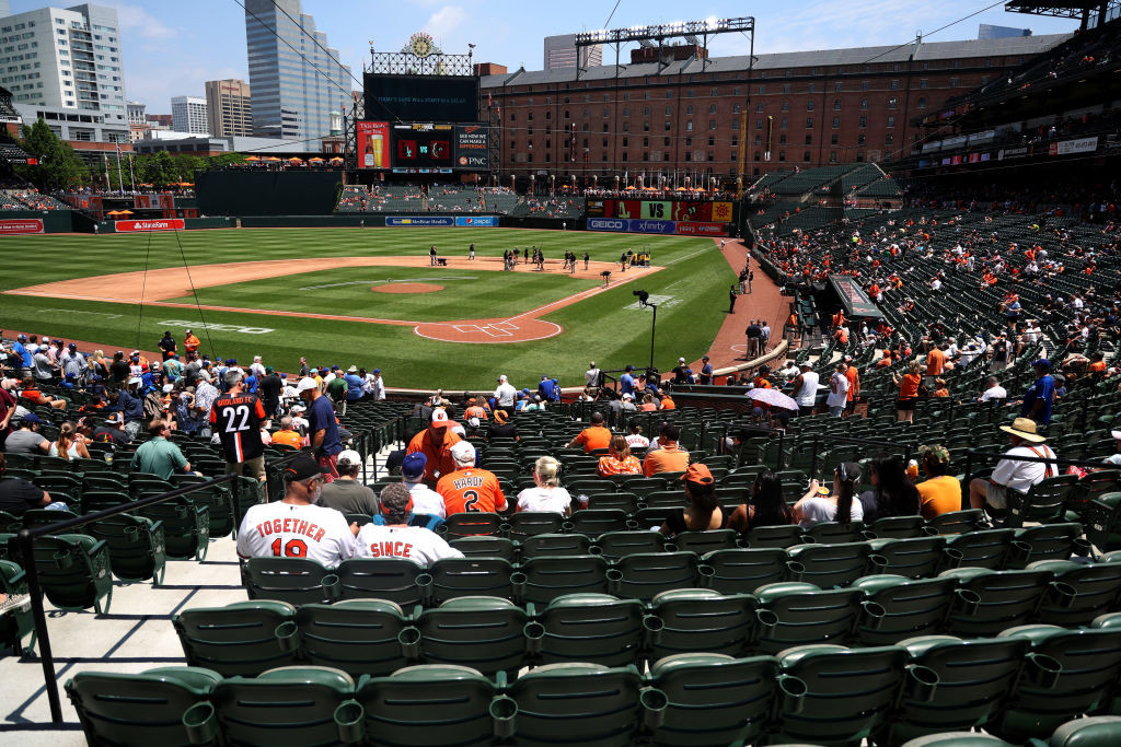 OPACY Sunny Day